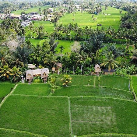 Kawig Bamboo House - Ricefield View, Eco Bamboo Home Tampaksiring Екстер'єр фото