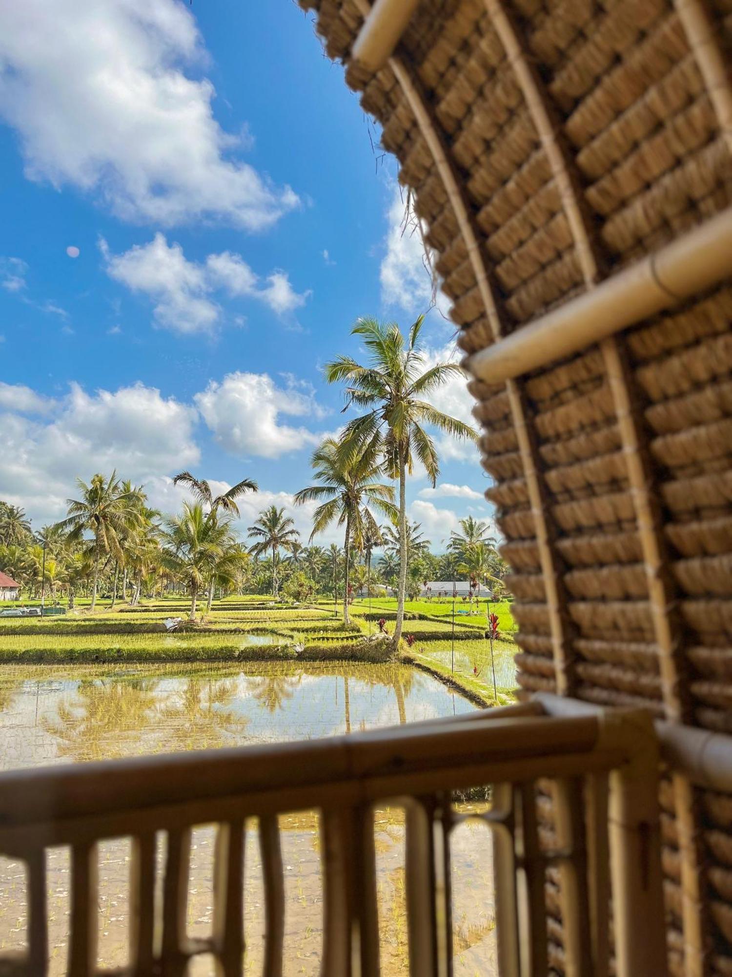 Kawig Bamboo House - Ricefield View, Eco Bamboo Home Tampaksiring Екстер'єр фото