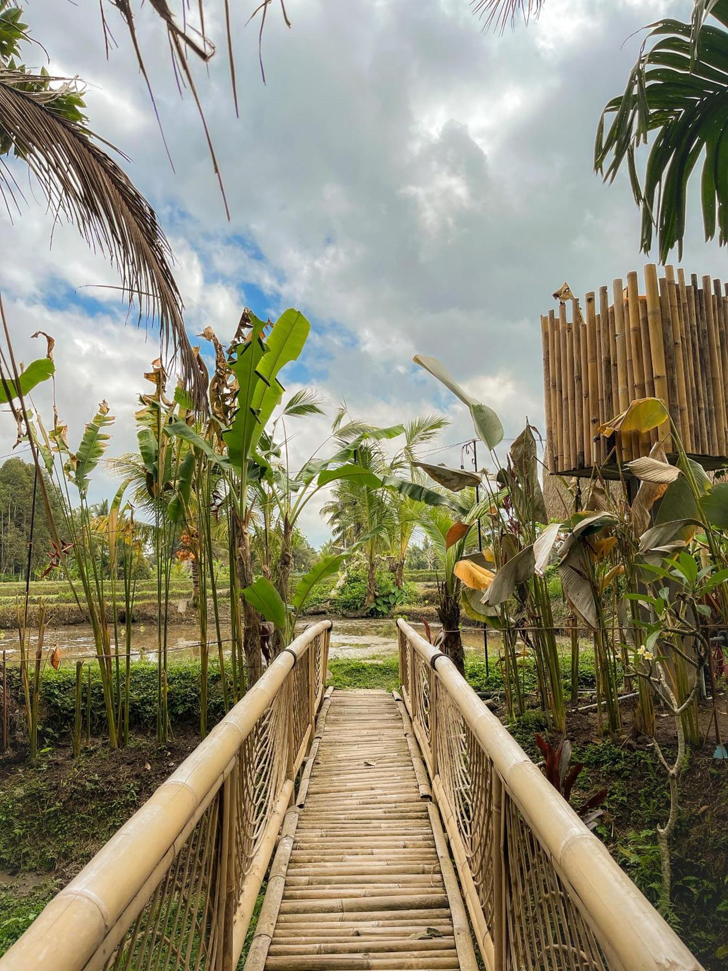 Kawig Bamboo House - Ricefield View, Eco Bamboo Home Tampaksiring Екстер'єр фото