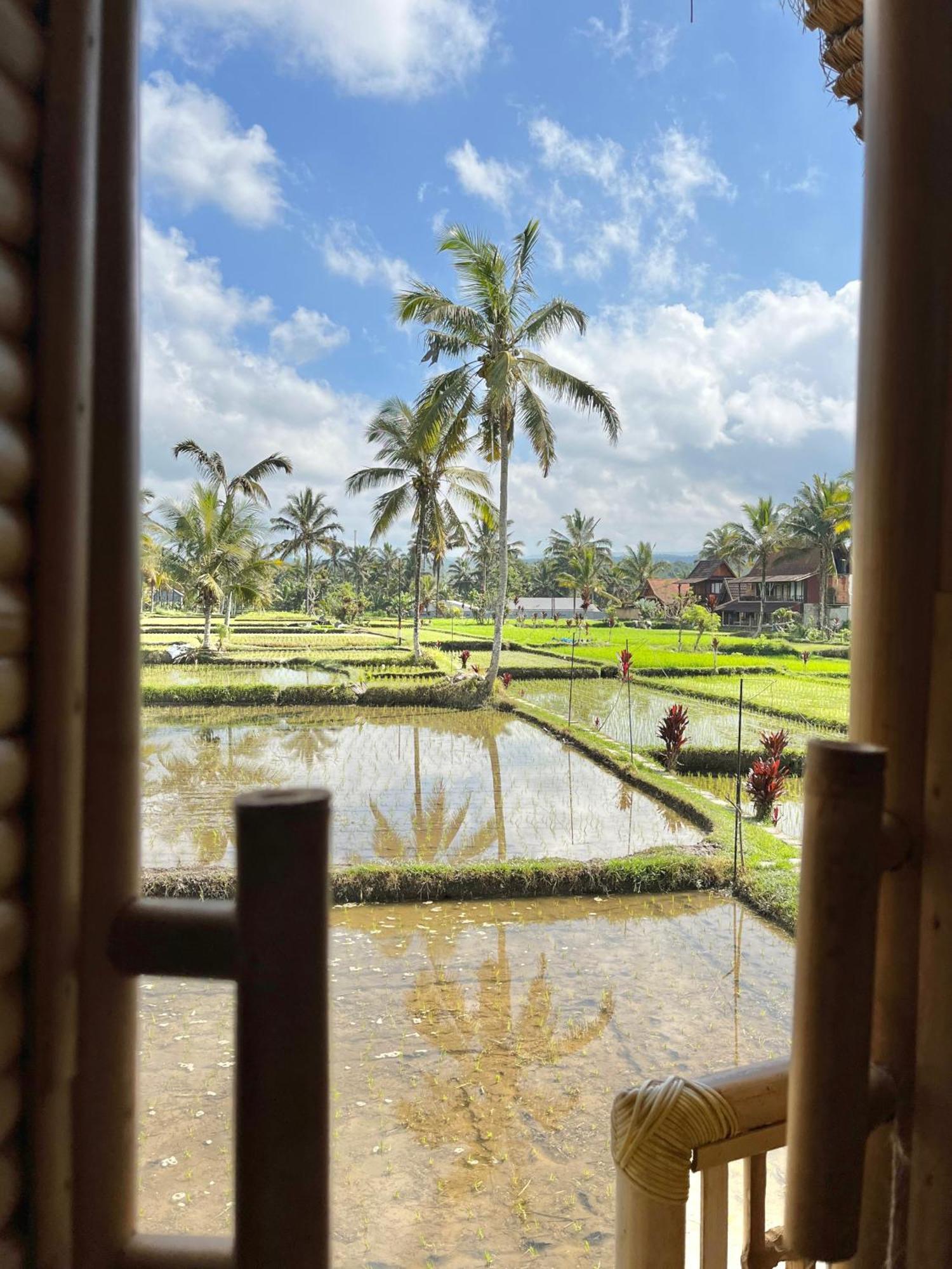 Kawig Bamboo House - Ricefield View, Eco Bamboo Home Tampaksiring Екстер'єр фото