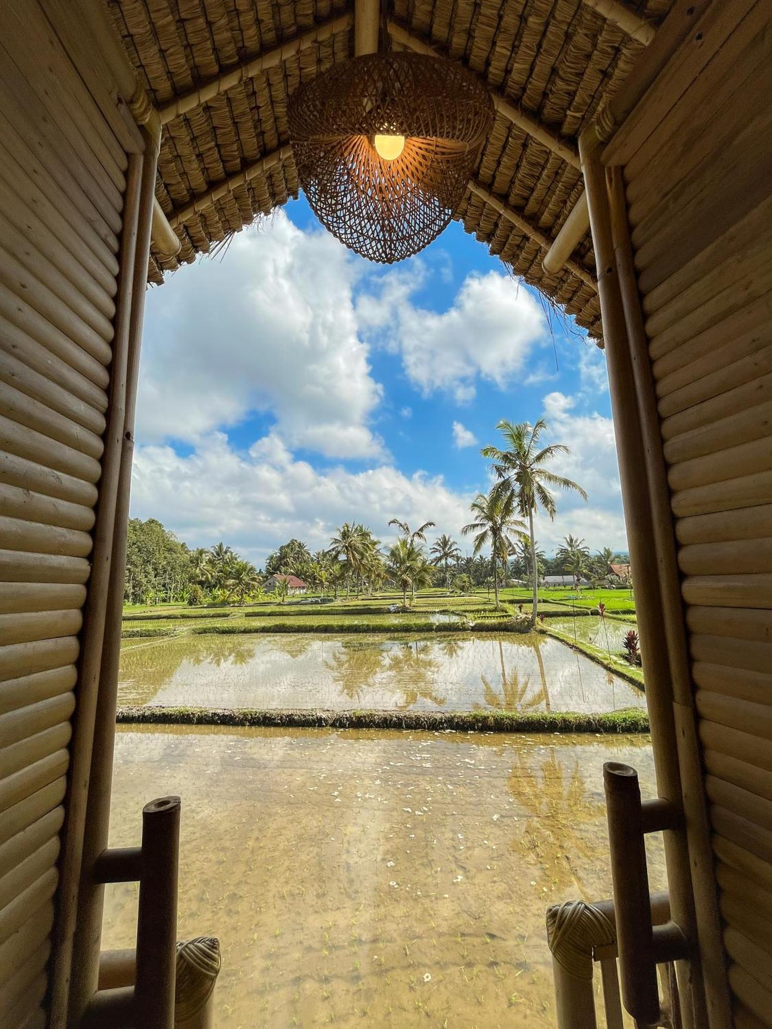 Kawig Bamboo House - Ricefield View, Eco Bamboo Home Tampaksiring Екстер'єр фото