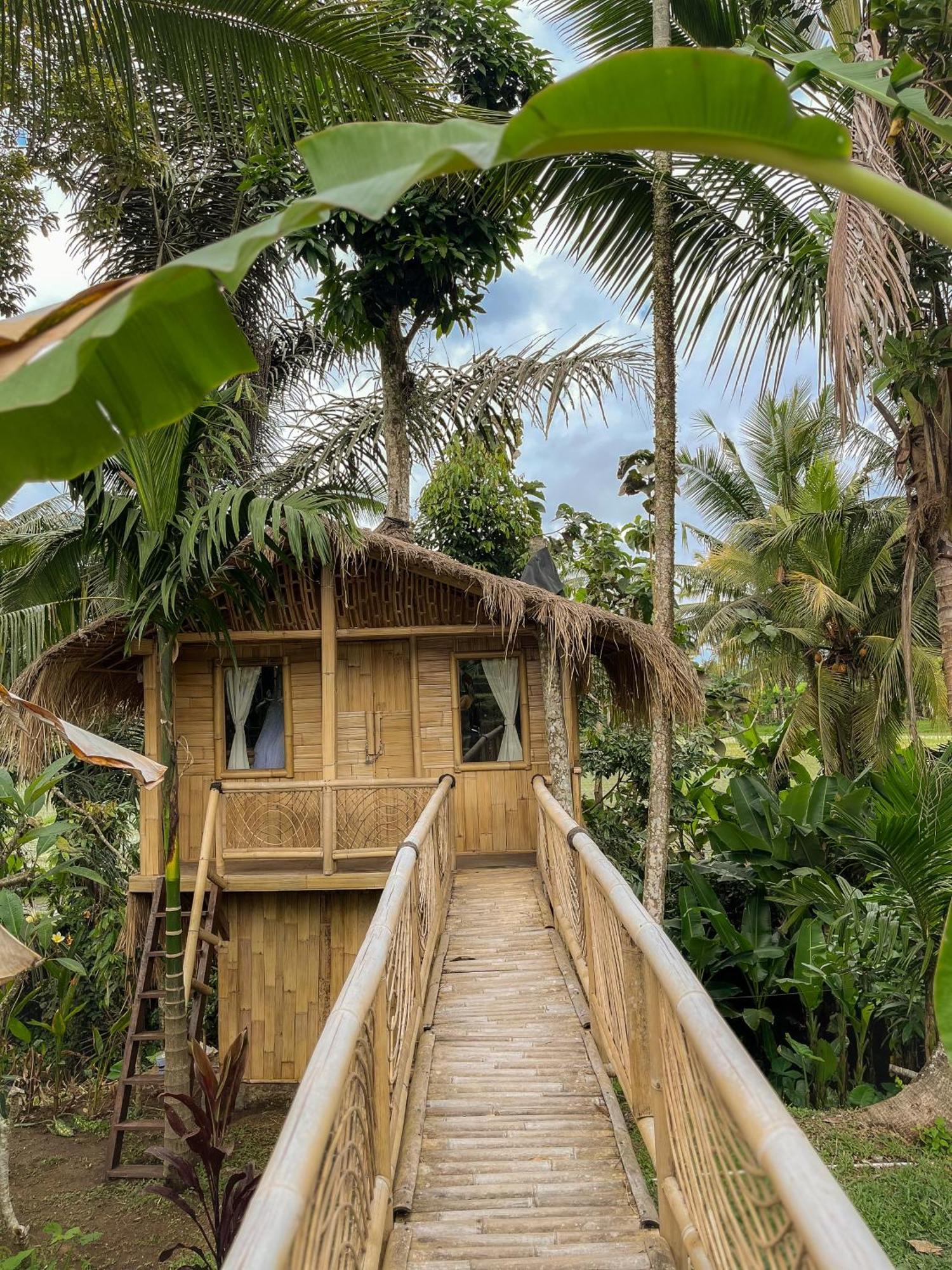 Kawig Bamboo House - Ricefield View, Eco Bamboo Home Tampaksiring Екстер'єр фото