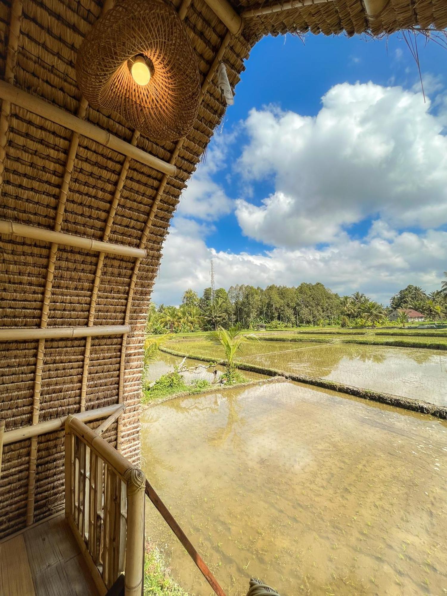 Kawig Bamboo House - Ricefield View, Eco Bamboo Home Tampaksiring Екстер'єр фото