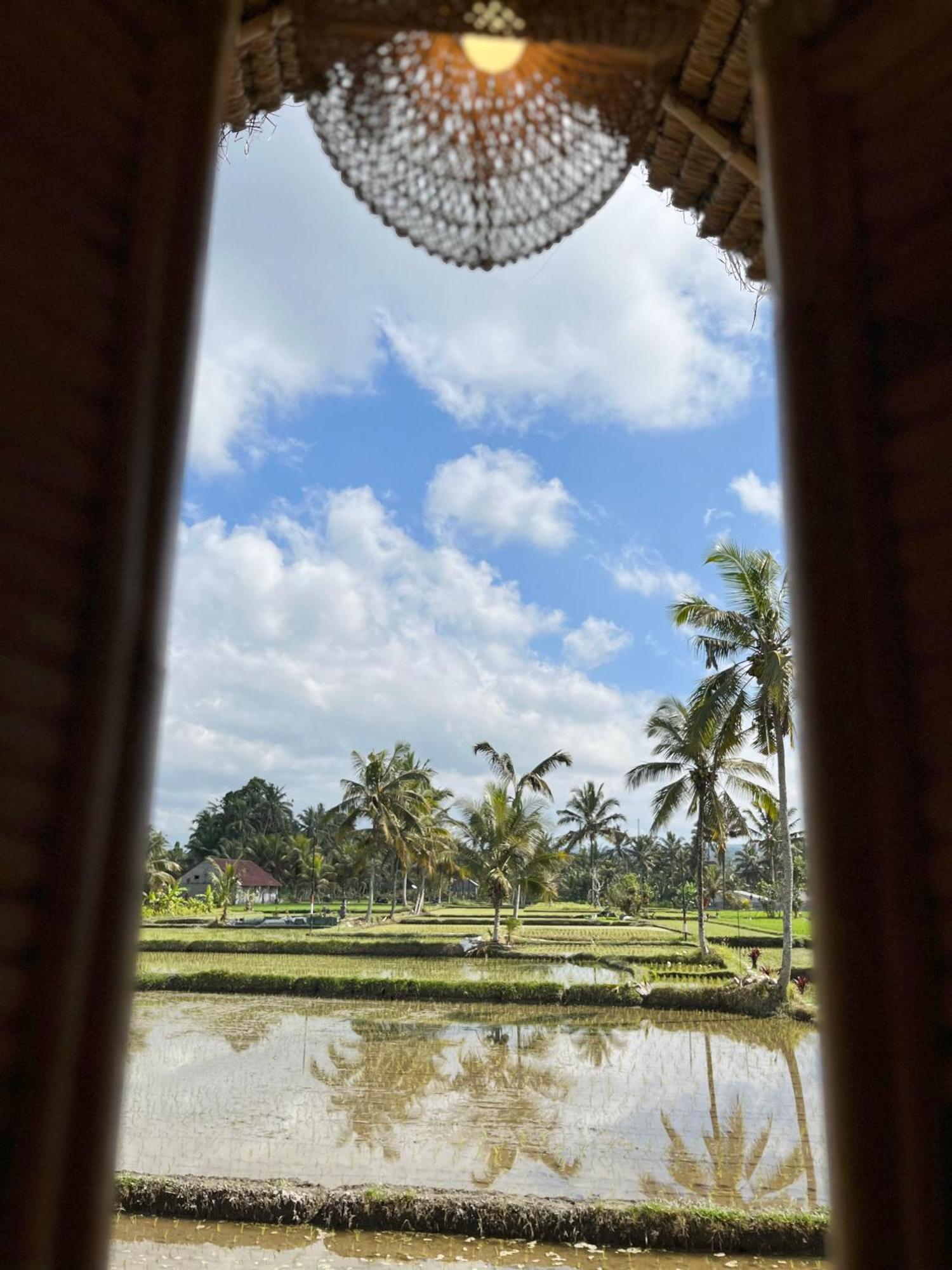 Kawig Bamboo House - Ricefield View, Eco Bamboo Home Tampaksiring Екстер'єр фото