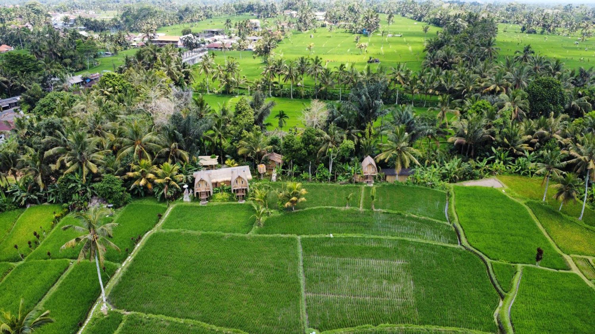 Kawig Bamboo House - Ricefield View, Eco Bamboo Home Tampaksiring Екстер'єр фото