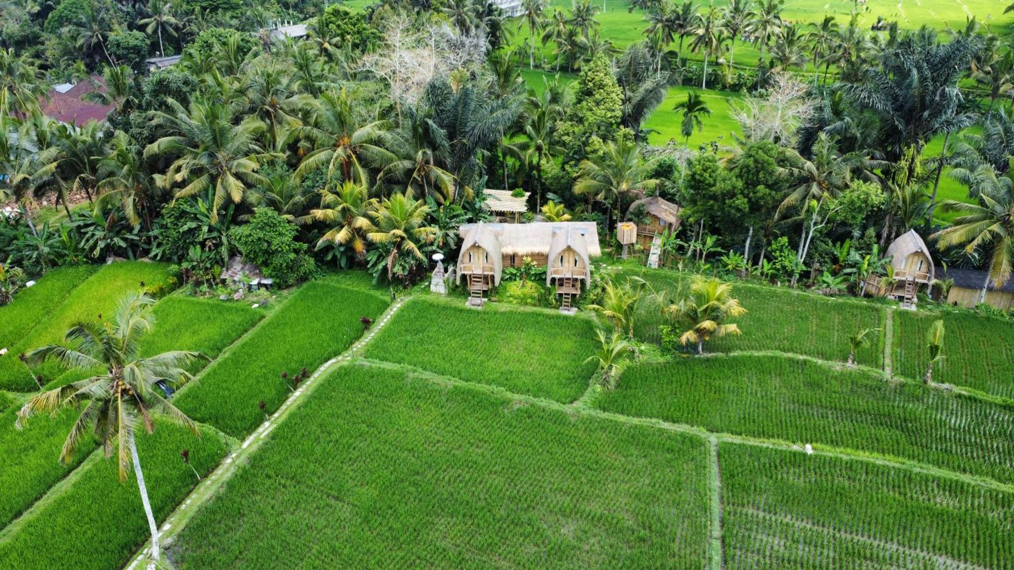 Kawig Bamboo House - Ricefield View, Eco Bamboo Home Tampaksiring Екстер'єр фото