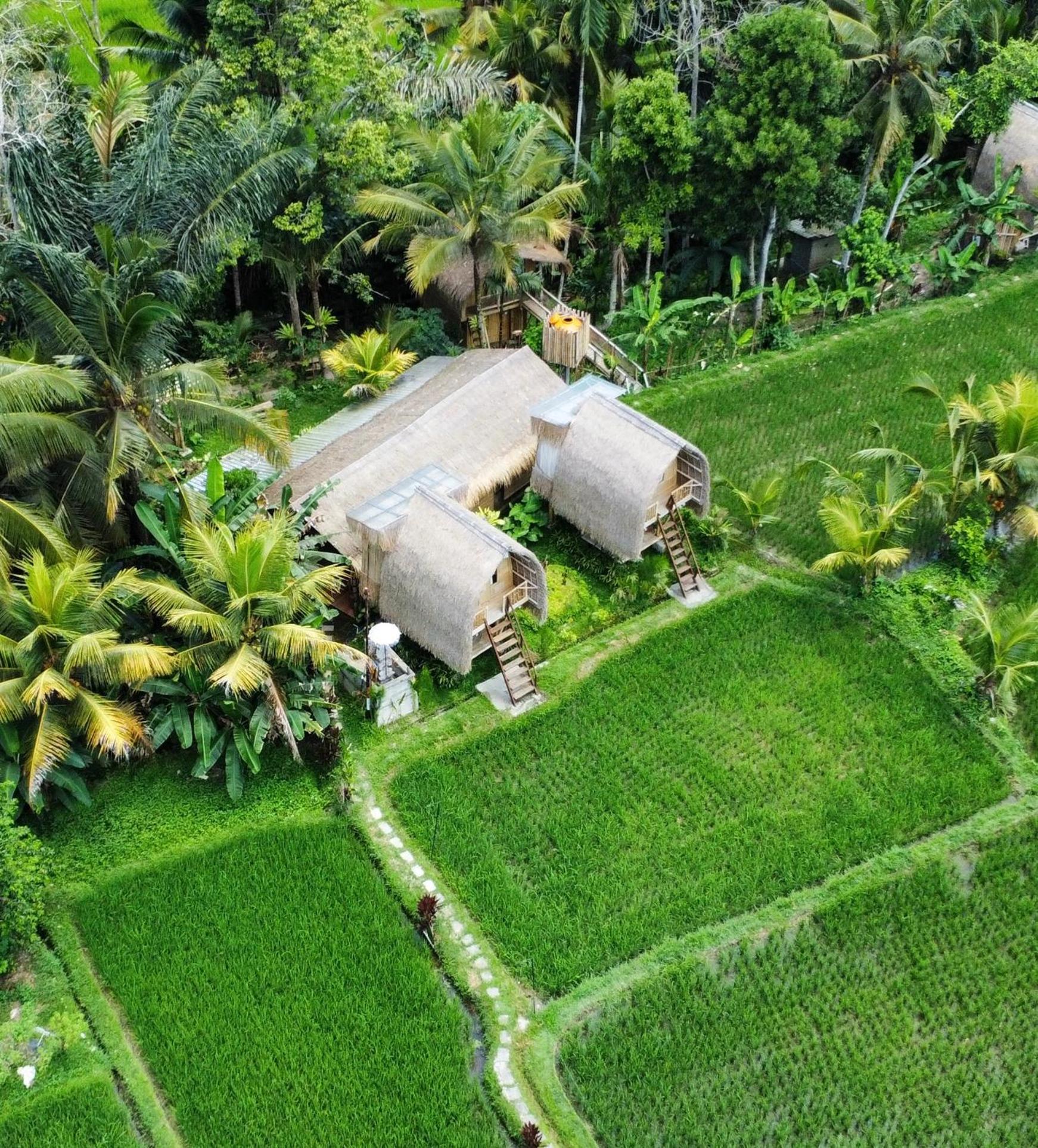 Kawig Bamboo House - Ricefield View, Eco Bamboo Home Tampaksiring Екстер'єр фото