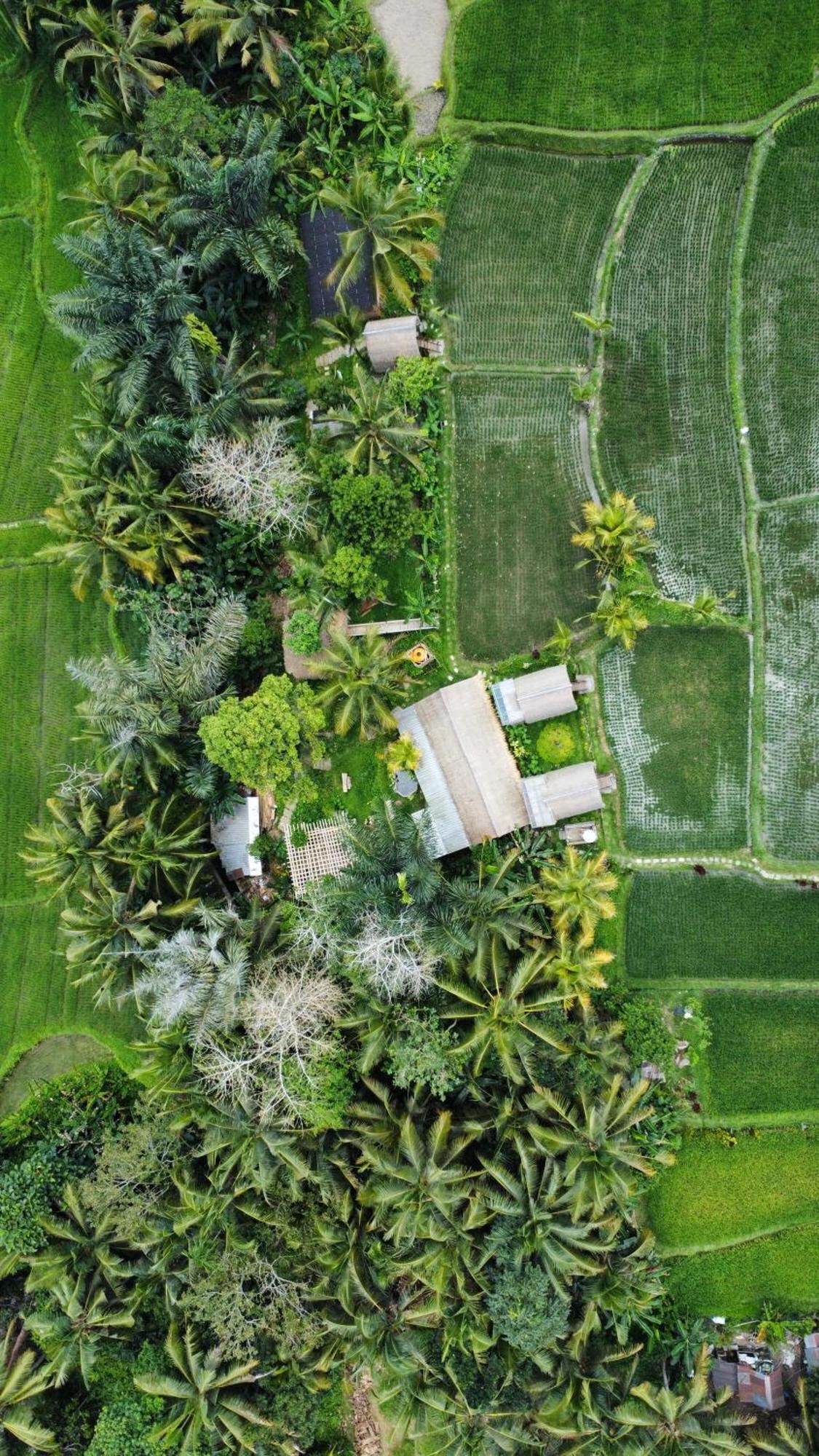 Kawig Bamboo House - Ricefield View, Eco Bamboo Home Tampaksiring Екстер'єр фото